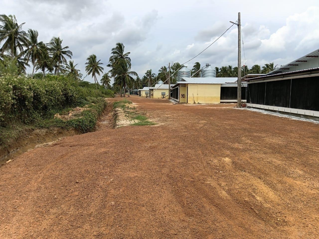 Phase 1 Completed on Broiler Farm Complex